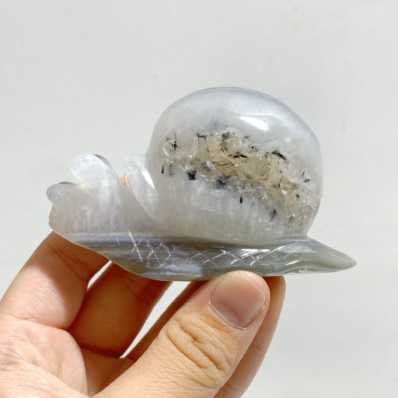 10 Pieces Geode Druzy Agate Snail Carving -Wholesale Crystals