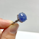 101 Pieces Blue Kyanite Different Styles Rings - Wholesale Crystals