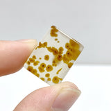 106 Pieces Natural Scenic Dendritic Agate Cabochon - Wholesale Crystals