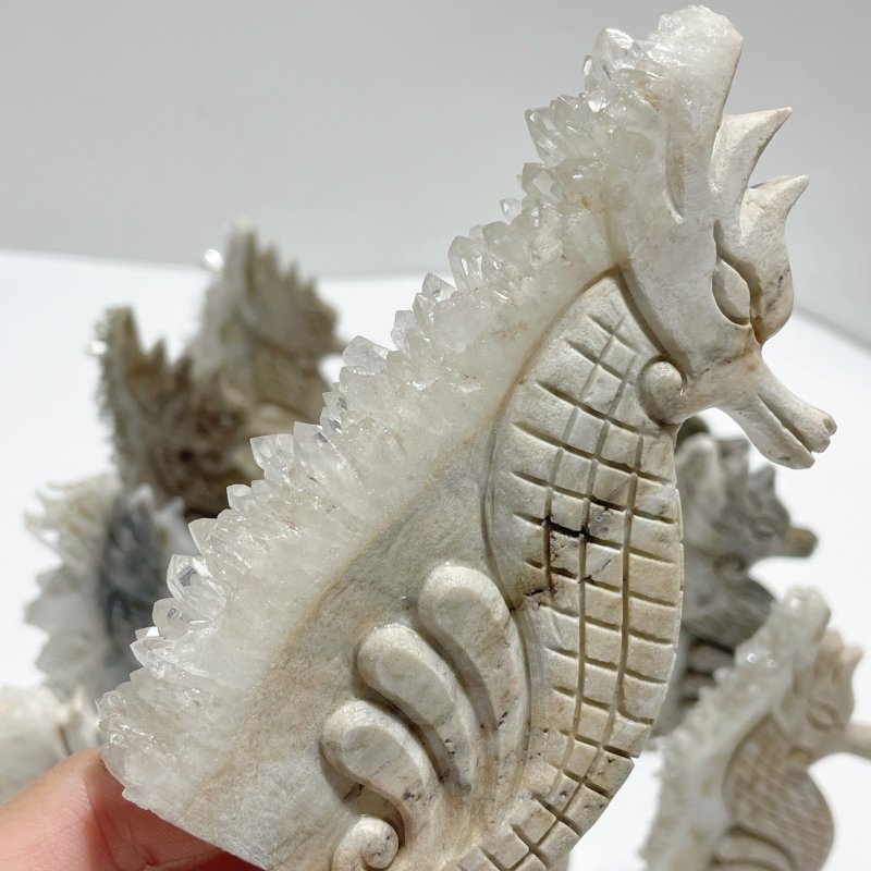 11 Pieces Clear Quartz Cluster Seahorse Carving - Wholesale Crystals