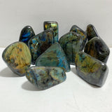 11 Pieces Large Beautiful Polished Labradorite Free Form -Wholesale Crystals