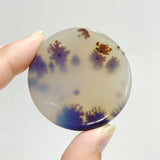 11 Pieces Natural Rare Scenic Dendritic Agate Stone -Wholesale Crystals