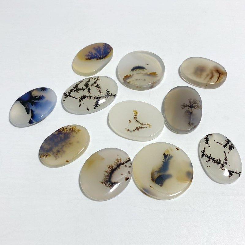 11 Pieces Natural Rare Scenic Dendritic Agate Stone - Wholesale Crystals