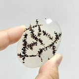 11 Pieces Natural Rare Scenic Dendritic Agate Stone - Wholesale Crystals