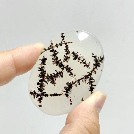11 Pieces Natural Rare Scenic Dendritic Agate Stone - Wholesale Crystals
