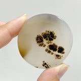 11 Pieces Natural Rare Scenic Dendritic Agate Stone -Wholesale Crystals