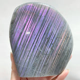 11 Pieces Purple Labradorite High Quality Polished Large Free Form - Wholesale Crystals