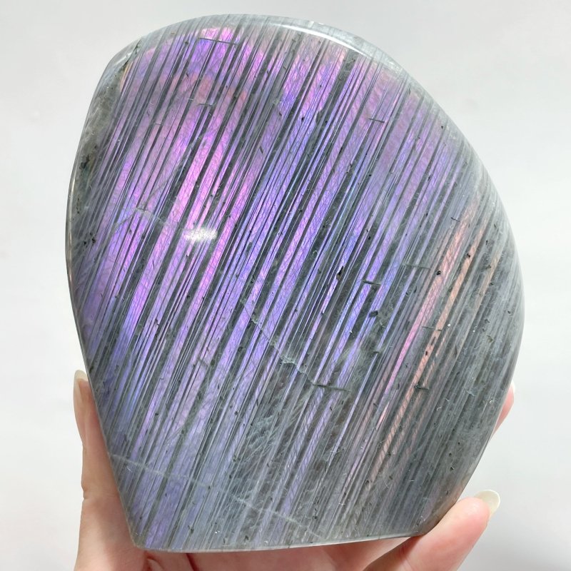 11 Pieces Purple Labradorite High Quality Polished Large Free Form - Wholesale Crystals