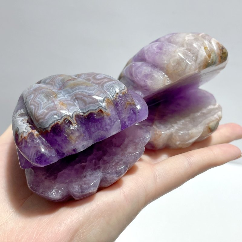 12 Pieces Amethyst Mixed Stripe Agate Shell Carving - Wholesale Crystals