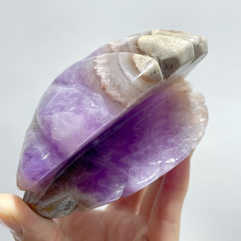 12 Pieces Amethyst Mixed Stripe Agate Shell Carving - Wholesale Crystals