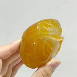 12 Pieces Beautiful Agate Tiger Carving - Wholesale Crystals