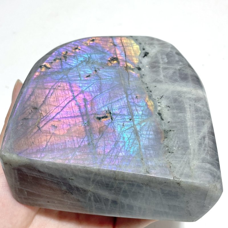 12 Pieces Large Purple Labradorite Free Form - Wholesale Crystals