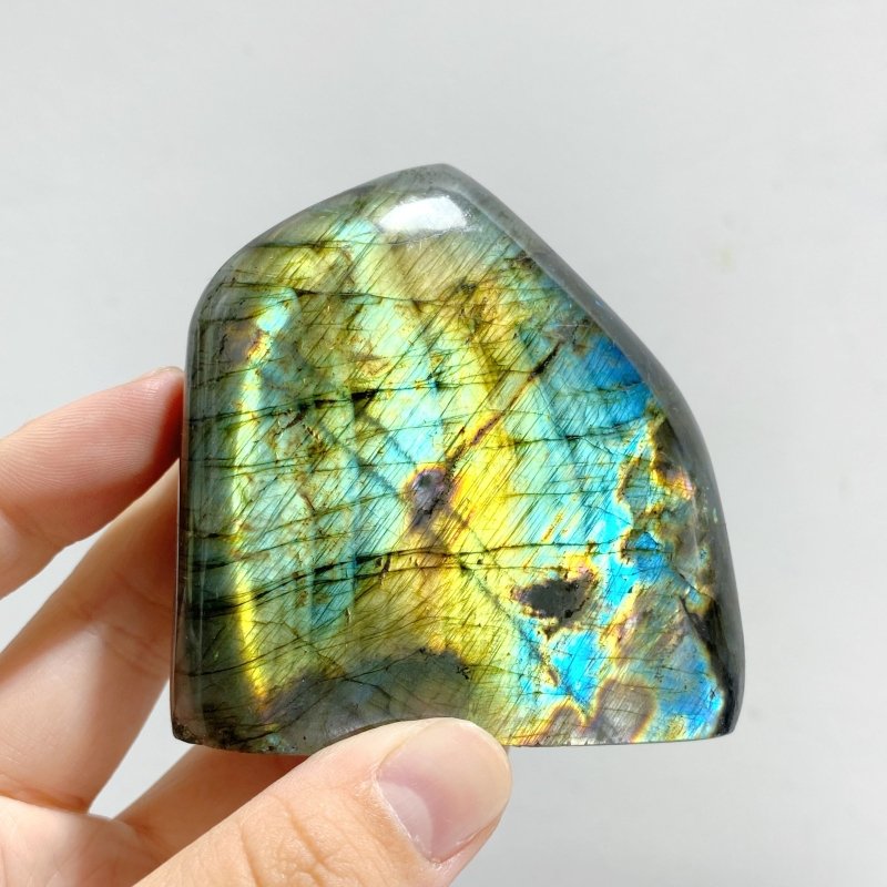 13 Pieces Beautiful Polished Yellow Blue Labradorite Free Form -Wholesale Crystals