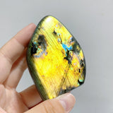 13 Pieces Beautiful Polished Yellow Blue Labradorite Free Form -Wholesale Crystals