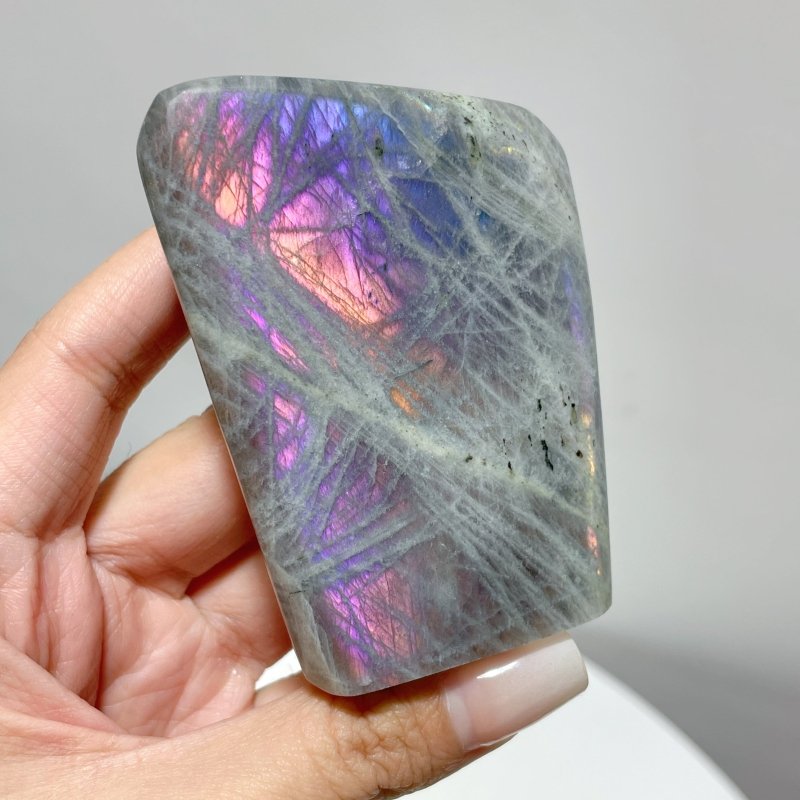 13 Pieces Labradorite High Quality Polished Large Free Form - Wholesale Crystals