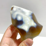 14 Pieces Black Orca Agate Flame Carving - Wholesale Crystals