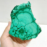2 Pieces Malachite Raw Bottom With Stand