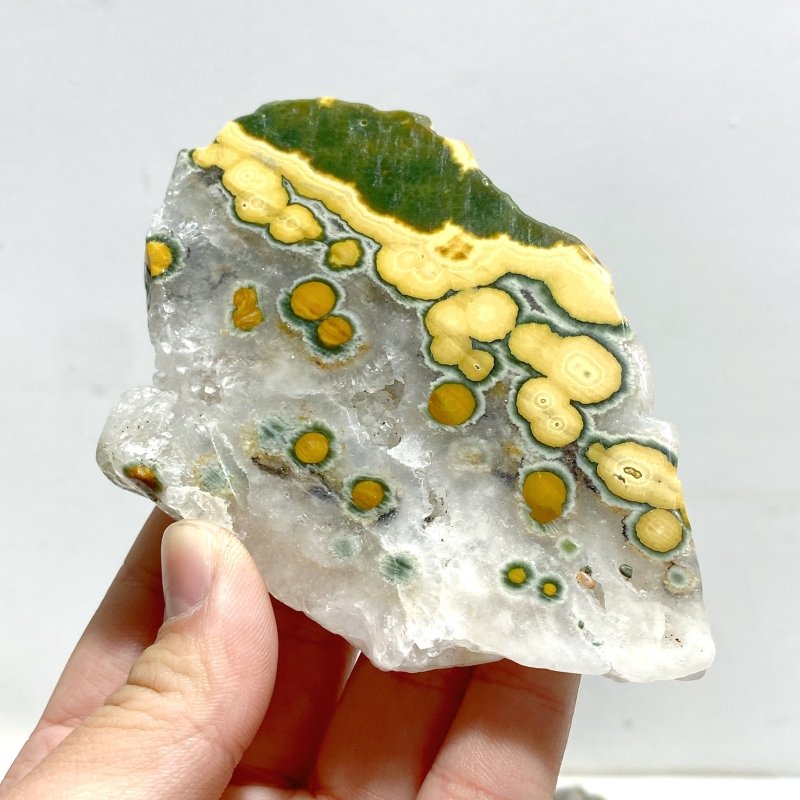 15 Pieces 8th Vein Ocean Jasper Slab - Wholesale Crystals