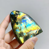 15 Pieces Labradorite Polished Free Form -Wholesale Crystals