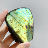 15 Pieces Labradorite Polished Free Form -Wholesale Crystals