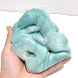 Beautiful Caribbean Calcite Lizard Carving