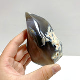 16 Pieces Black Orca Agate Flame Carving 3 - Wholesale Crystals