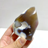 16 Pieces Black Orca Agate Flame Carving 3 - Wholesale Crystals