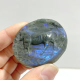 17 Pieces Labradorite Constellation Carving Clearance - Wholesale Crystals