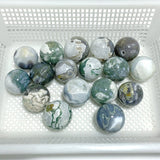 17 Pieces Moss Agate Spheres - Wholesale Crystals
