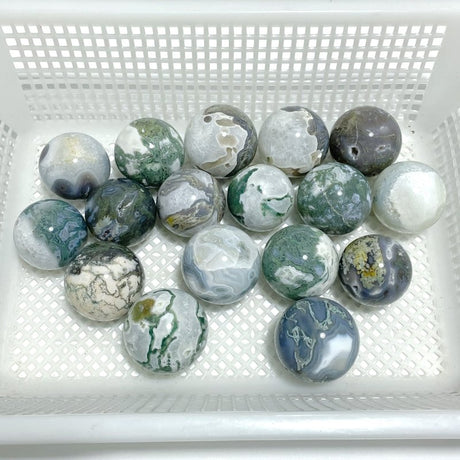 17 Pieces Moss Agate Spheres - Wholesale Crystals