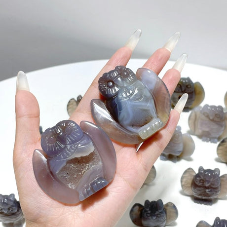 18 Pieces Geode Druzy Agate Owl Carving - Wholesale Crystals