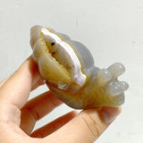 18 Pieces Geode Druzy Agate Snail Carving - Wholesale Crystals