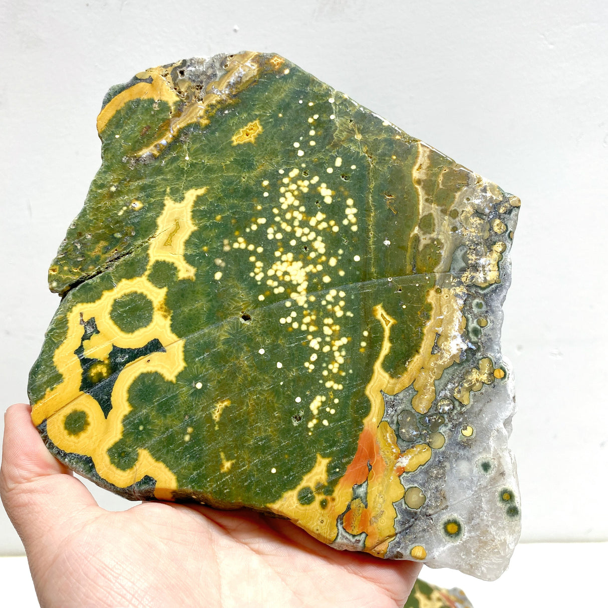 5 Pieces Large 8th Vein Ocean Jasper Slabs