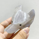 19 Pieces Geode Druzy Agate Fox Head Carving -Wholesale Crystals