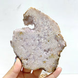 19 Pieces Sakura Flower Agate Slab - Wholesale Crystals