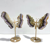 2 Pairs Fluorite Mixed Pyrite Butterfly Wing With Stand 1 - Wholesale Crystals