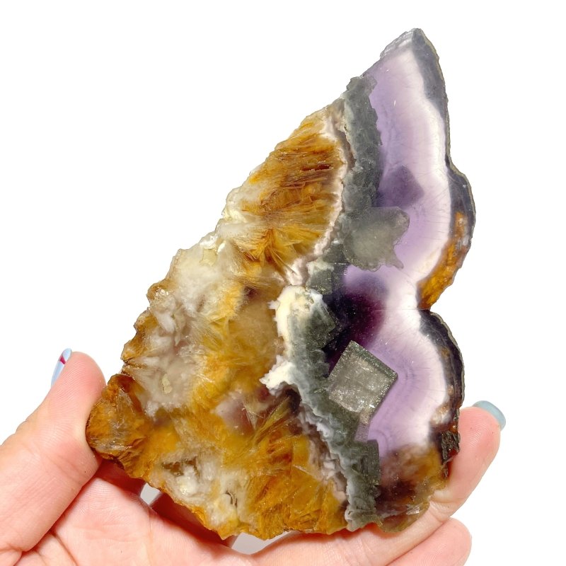2 Pairs Fluorite Mixed Pyrite Butterfly Wing With Stand 3 - Wholesale Crystals