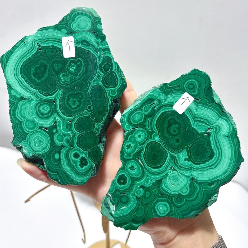 2 Pairs Polished Malachite Raw Slab Butterfly Wing Crystal Carving With Stand (#1) - Wholesale Crystals