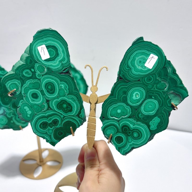 2 Pairs Polished Malachite Raw Slab Butterfly Wing Crystal Carving With Stand (#1) - Wholesale Crystals