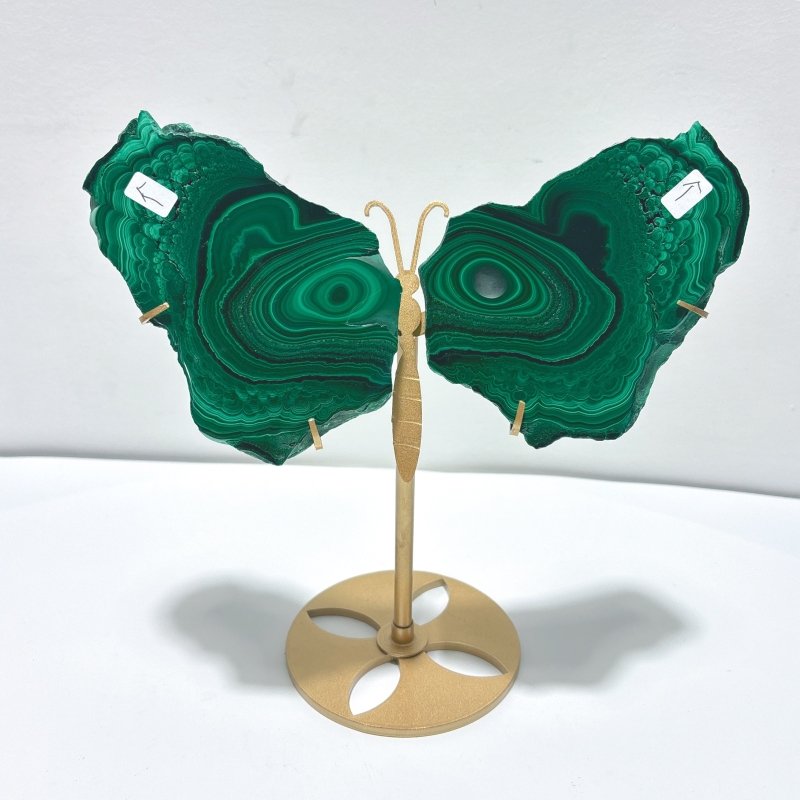 2 Pairs Polished Malachite Raw Slab Butterfly Wing With Stand (#3) - Wholesale Crystals