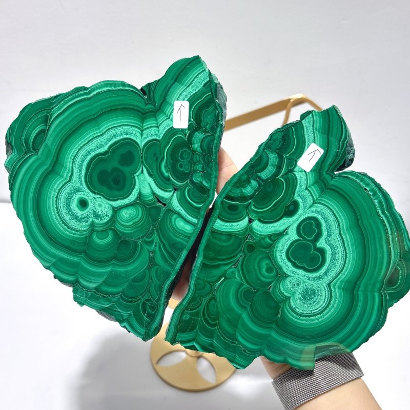 2 Pairs Polished Malachite Raw Slab Butterfly Wing With Stand (#5) - Wholesale Crystals