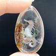 2 Pieces Beautiful Seahorse Garden Quartz Inner Scene Carving -Wholesale Crystals