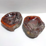 2 Pieces Large Petrified Wood Bowl - Wholesale Crystals