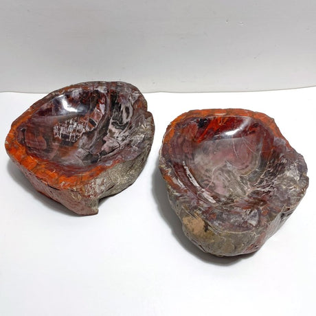 2 Pieces Large Petrified Wood Bowl - Wholesale Crystals