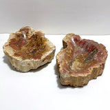 2 Pieces Large Petrified Wood Bowl - Wholesale Crystals