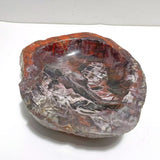 2 Pieces Large Petrified Wood Bowl - Wholesale Crystals