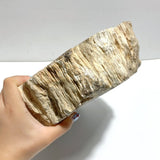 2 Pieces Large Petrified Wood Bowl - Wholesale Crystals