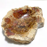 2 Pieces Large Petrified Wood Bowl - Wholesale Crystals