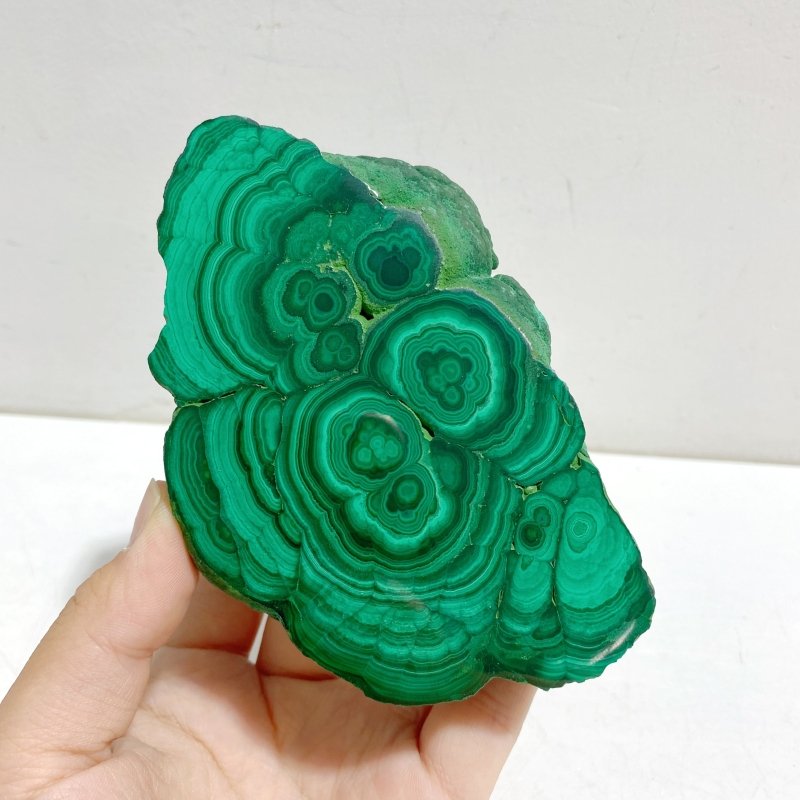 2 Pieces Malachite Raw Bottom With Stand - Wholesale Crystals