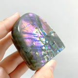 20 Pieces Beautiful Polished Labradorite Free Form -Wholesale Crystals